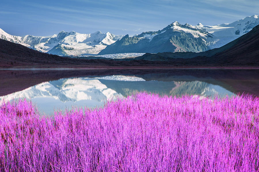 Alaskan Wilderness Landscape - 4 - Infrared - Purple Digital Art