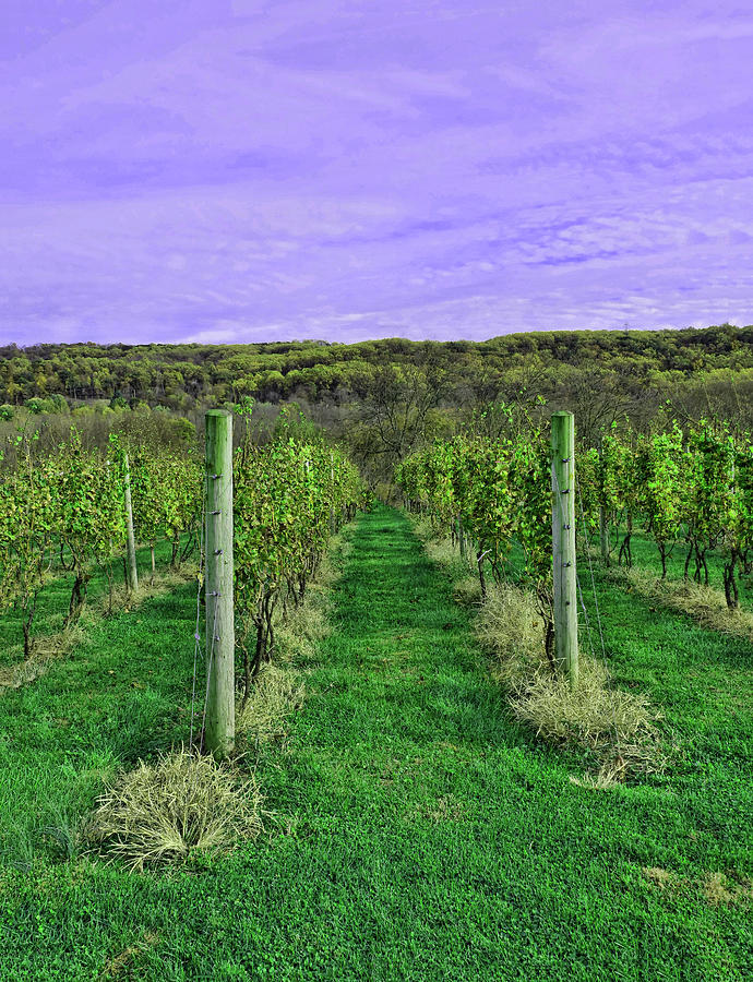 Alba Winery 3 - Milford, N J Photograph by Allen Beatty