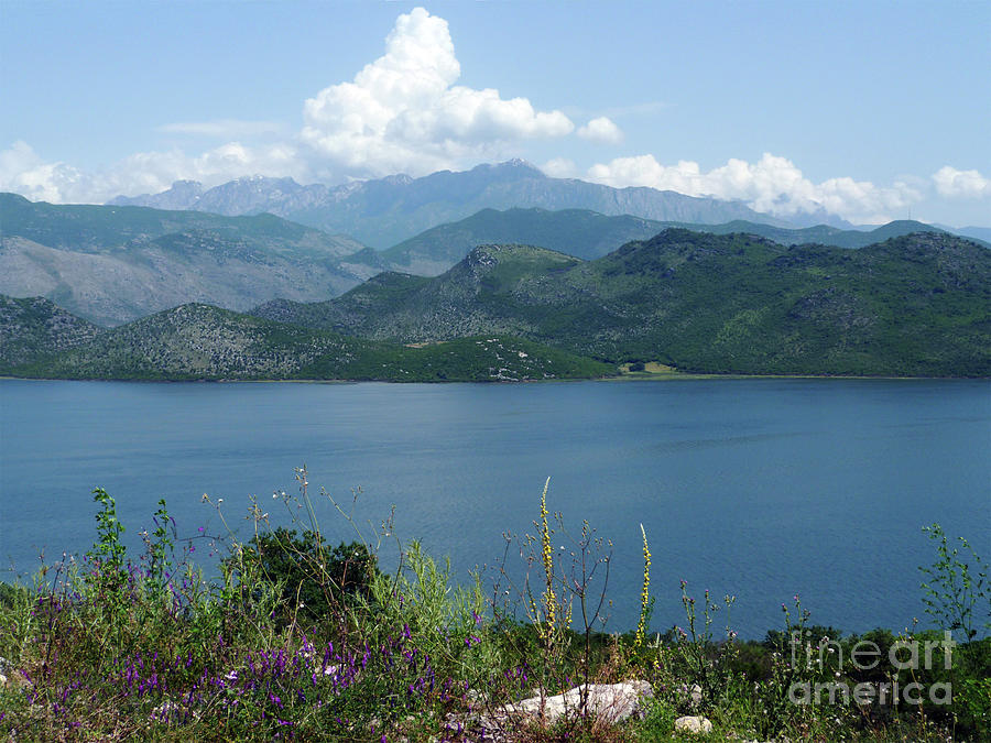 Albania from Lake Skadar - Montenegro Photograph by Phil Banks