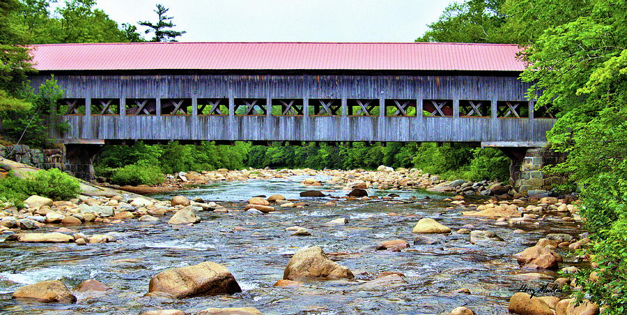 Albany Covered Bridge 1 Photograph by Harry Moulton