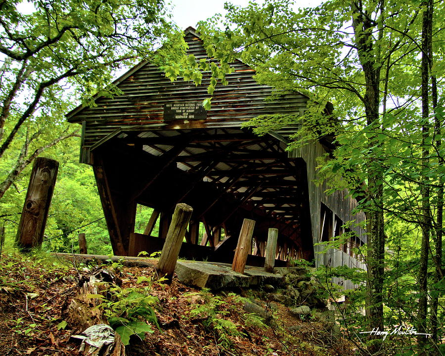 Albany Covered Bridge 2 Photograph by Harry Moulton