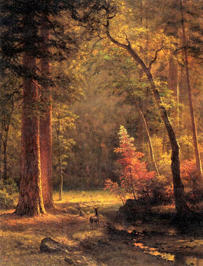 Albert Bierstadt - Dogwood Painting by Les Classics