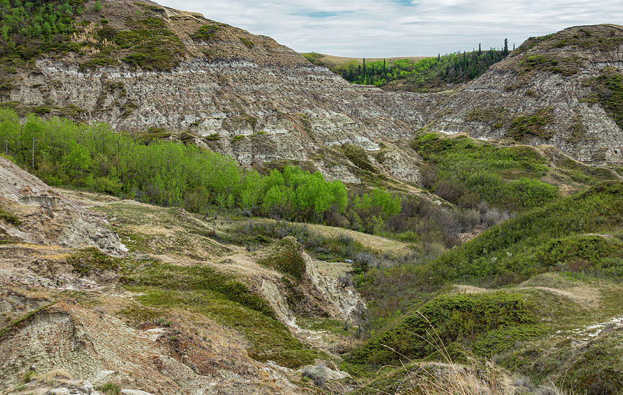 Spring Photograph - Alberta Badlands texture by Phil And Karen Rispin