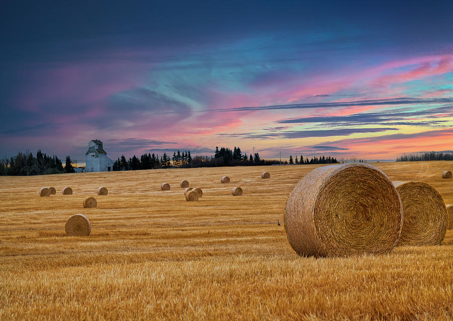 Alberta Harvest Photograph by Dan Jurak