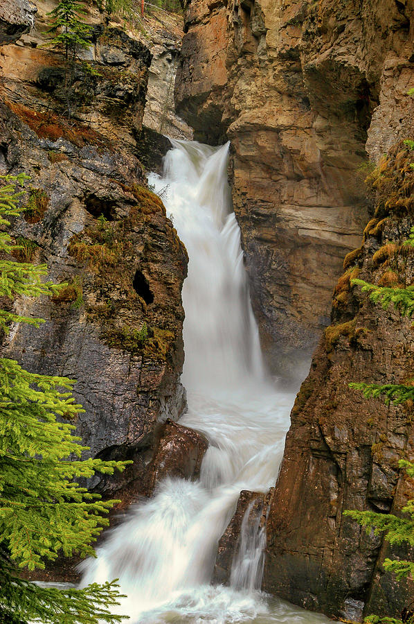 Alberta Waterfall, Canada Photograph by Mark Llewellyn