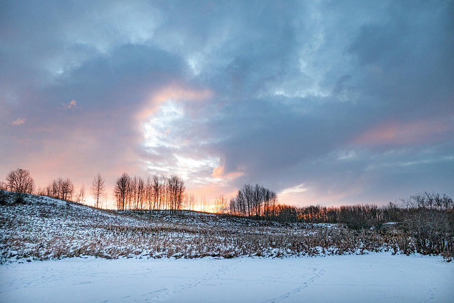 Alberta winter dawn Photograph by Karen Rispin