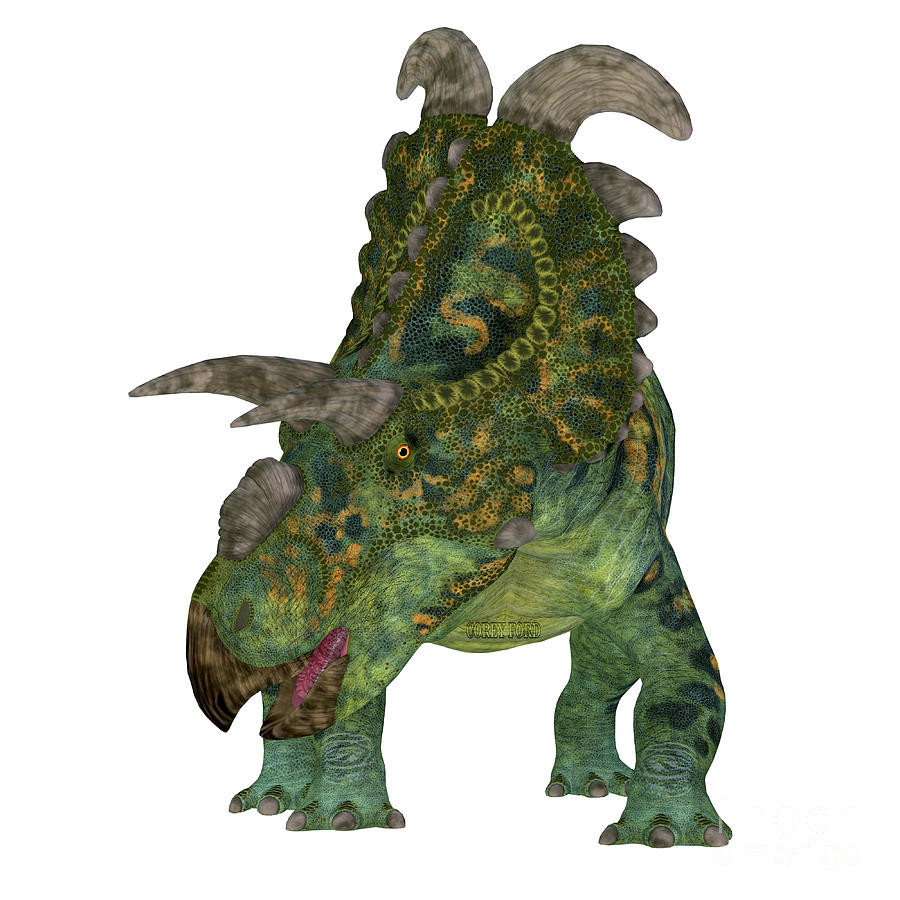 Albertaceratops Dinosaur Front Digital Art by Corey Ford