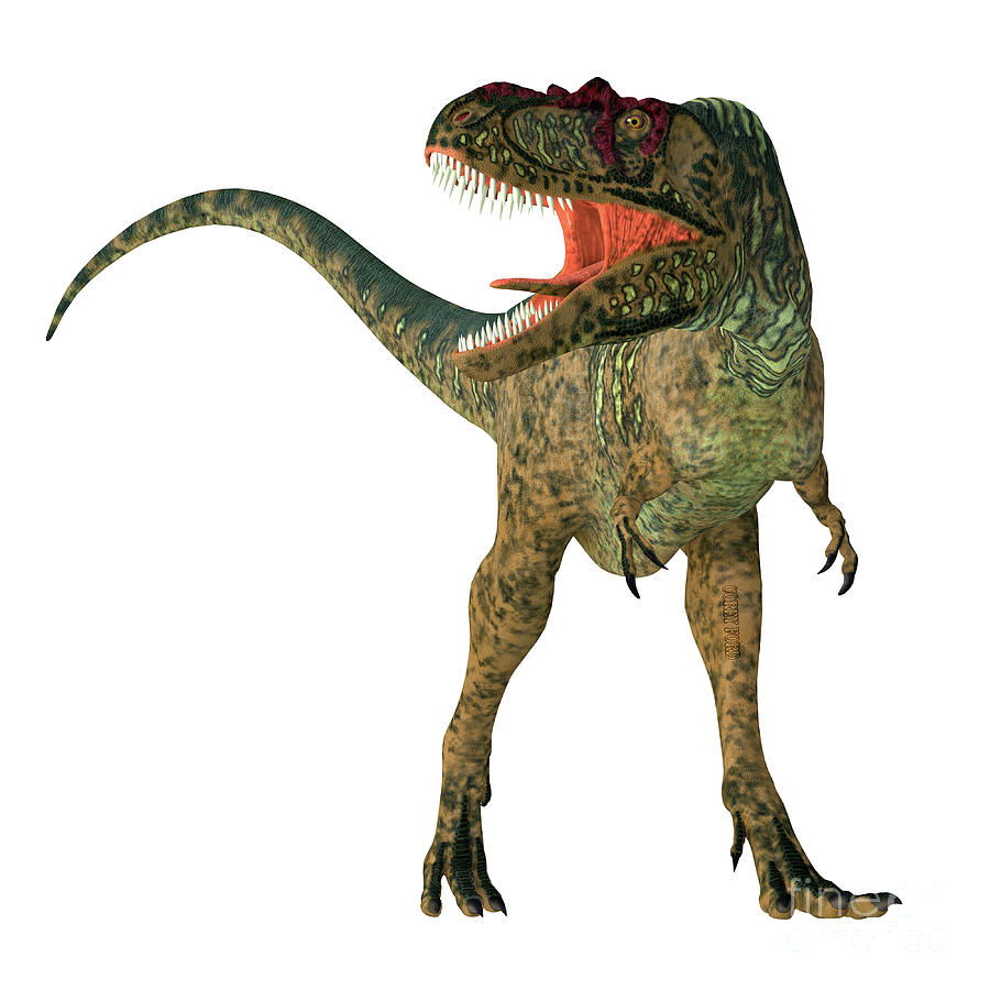 Albertosaurus Dinosaur Front Digital Art by Corey Ford