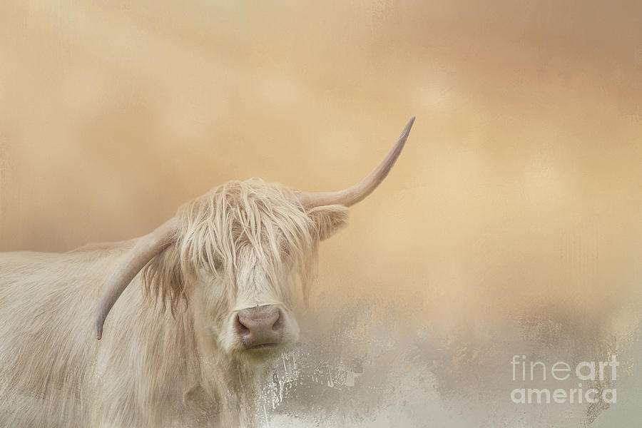 Animal Mixed Media - Albino Highland Cow by Elisabeth Lucas