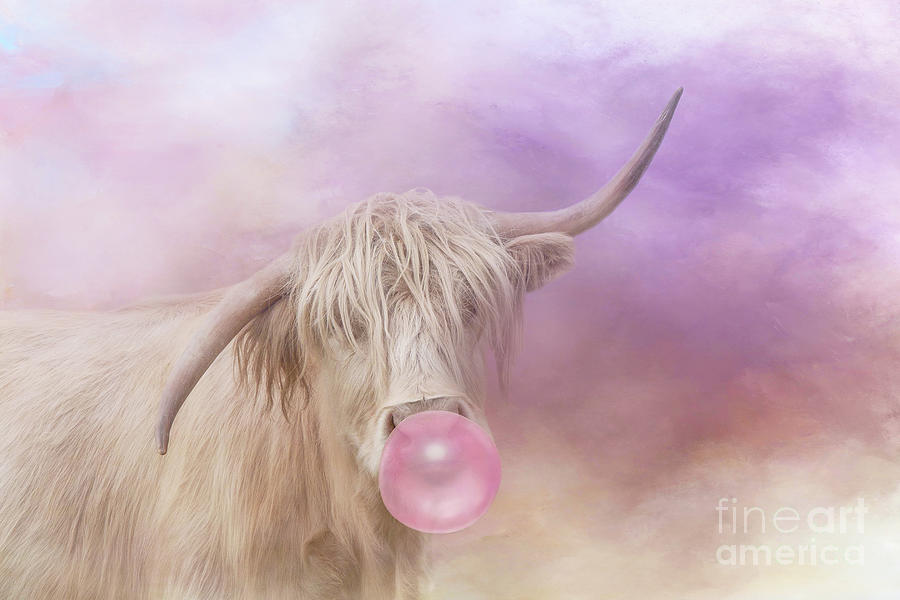Animal Mixed Media - Albino Highland Cow with Bubble Gum 1 by Elisabeth Lucas