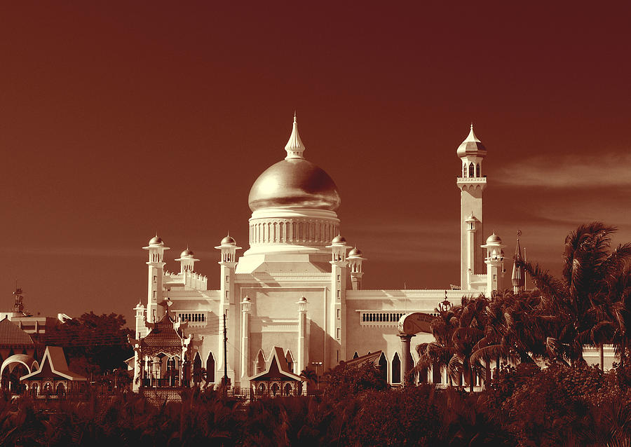 Albumen Print of Amazing Mosques around the world - 005, Woodburytype Painting by Artistic Rifki