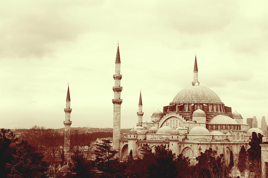 Albumen Print of Amazing Mosques around the world - 022, Woodburytype Painting by Artistic Rifki