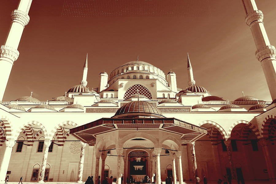 Albumen Print of Amazing Mosques around the world - 041, Woodburytype Painting by Artistic Rifki