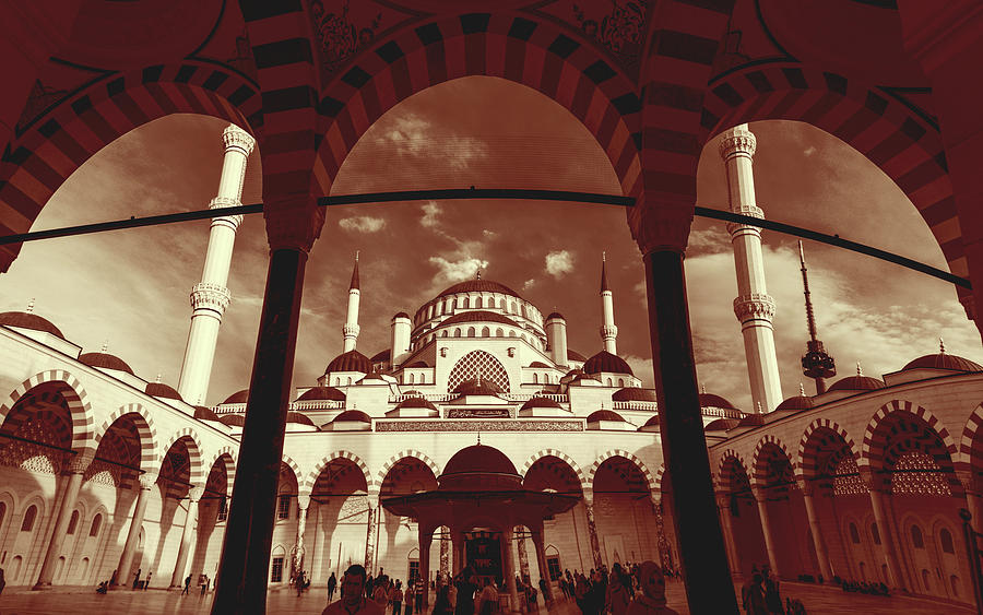 Albumen Print of Amazing Mosques around the world - 051, Woodburytype Painting by Artistic Rifki