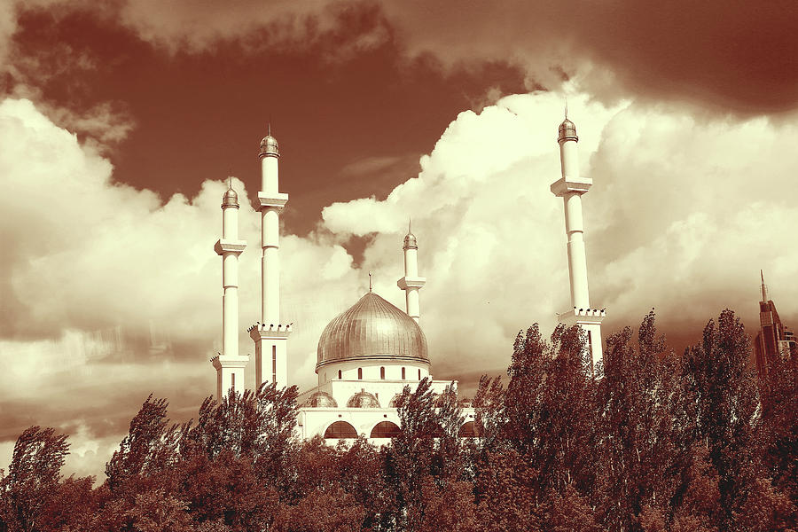 Albumen Print of Amazing Mosques around the world - 089, Woodburytype Painting by Artistic Rifki