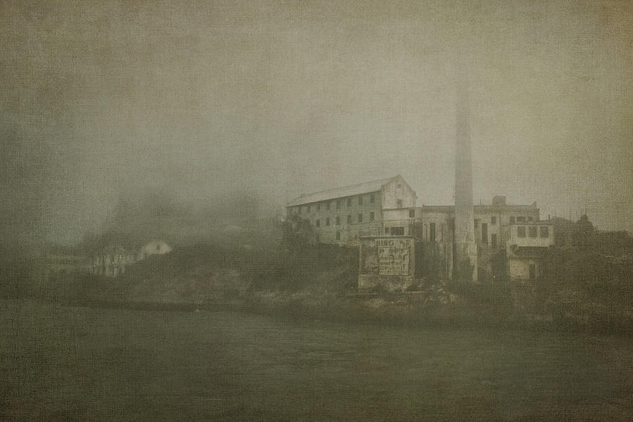 Alcatraz Photograph by Andrew Paranavitana