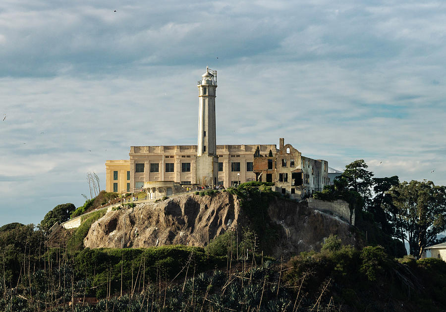 Alcatraz Island Lighthouse  Photograph by Betty Depee