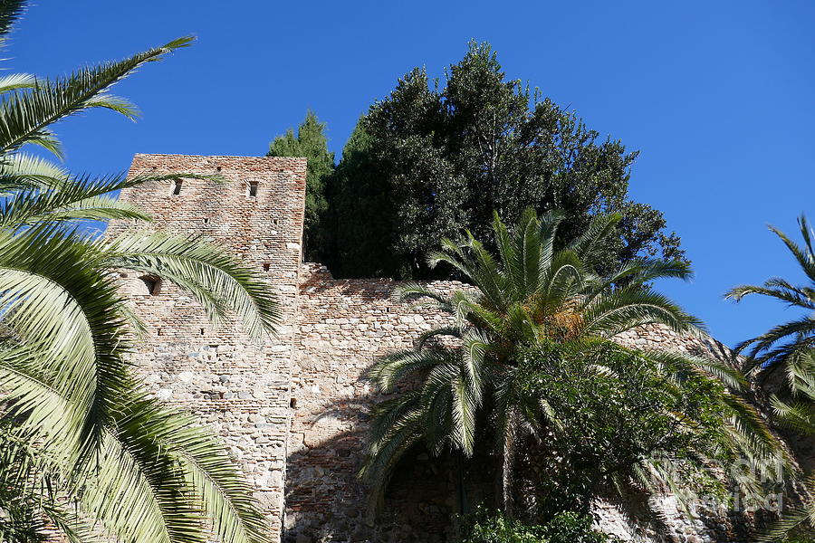 Alcazaba Walls With Trees, Malaga Photograph