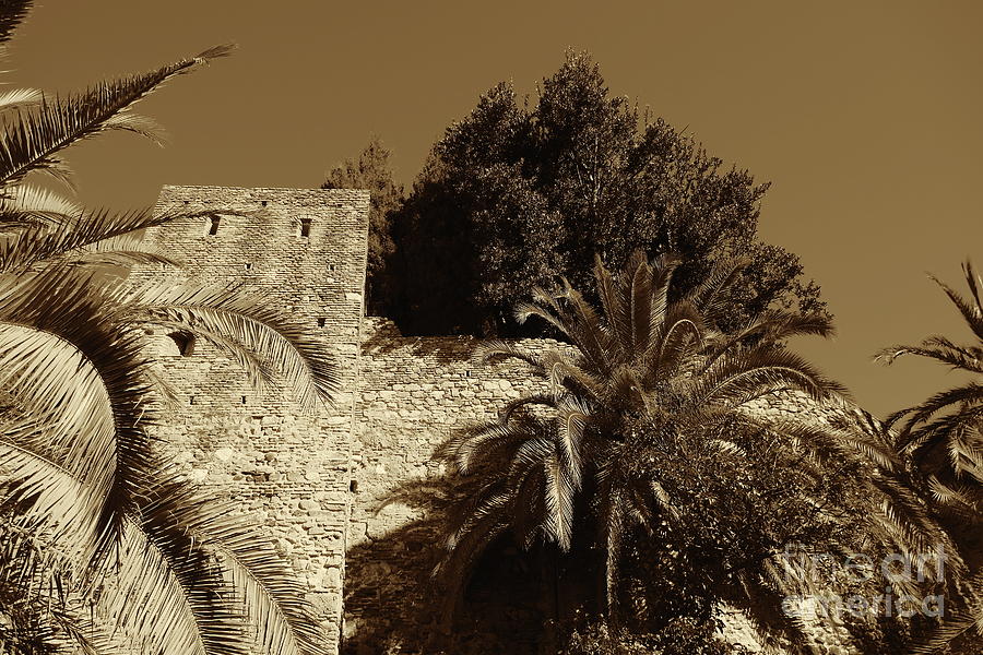 Alcazaba Walls With Trees, Malaga, Sepia Photograph