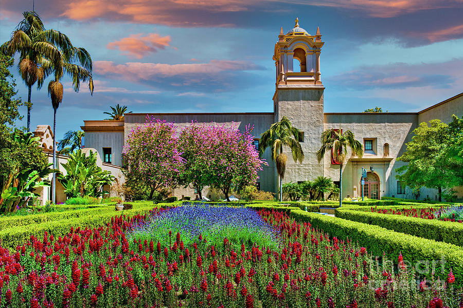 Alcazar Garden Balboa park San Dego Photograph by David Zanzinger
