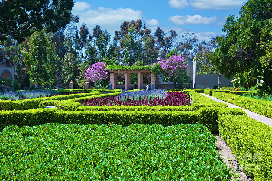 Alcazar Gardens Balboa Park Photograph by David Zanzinger
