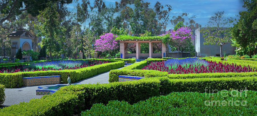 Alcazar Gardens San Diego  Photograph by David Zanzinger