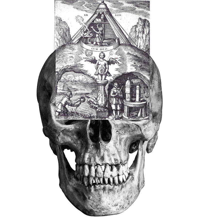 Alchemical Skull Digital Art by Trevor Grassi