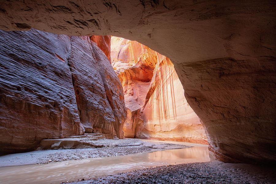 Alcove in the Slot Canyon Photograph by Alex Mironyuk