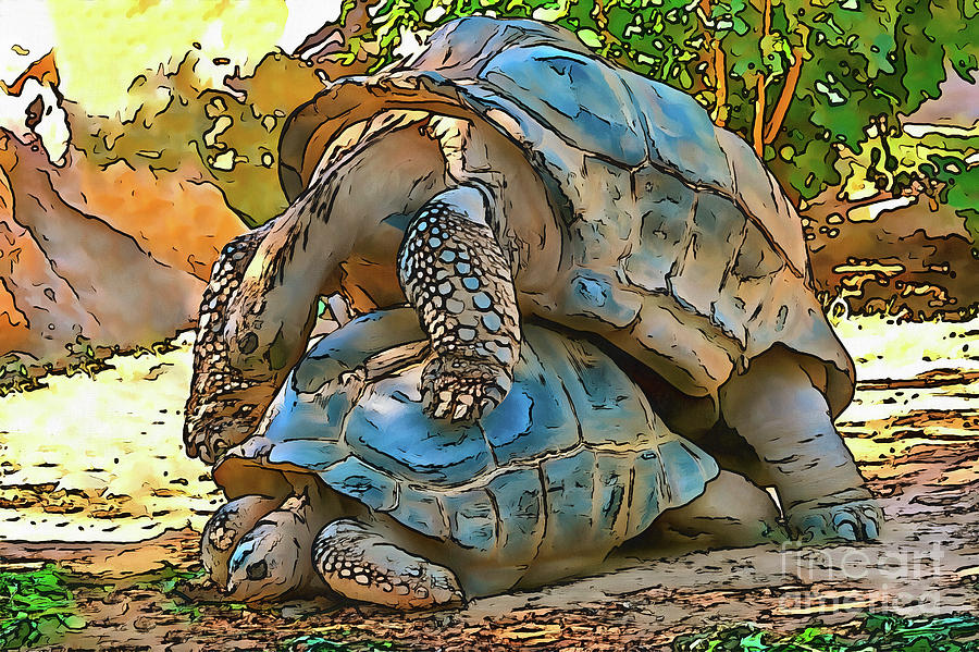 Aldabra Giant Tortoises mating Painting by George Atsametakis