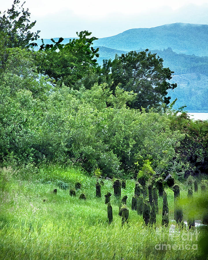 Alderbrook Slough Watercolor 2020 Photograph By Michael Ziegler