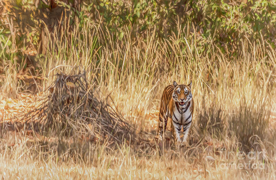 Alert Tiger cub Digital Art by Liz Leyden