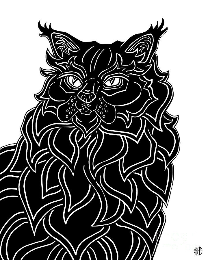 Alethea. Black Cat Ink  Drawing by Amy E Fraser