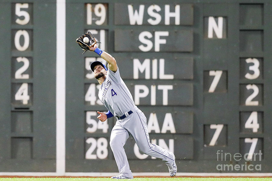 Alex Gordon Photograph by Adam Glanzman Alex Gordon Photograph by Adam Glanzman