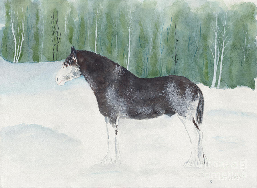 Alex the Clydesdale Painting by Conni Schaftenaar