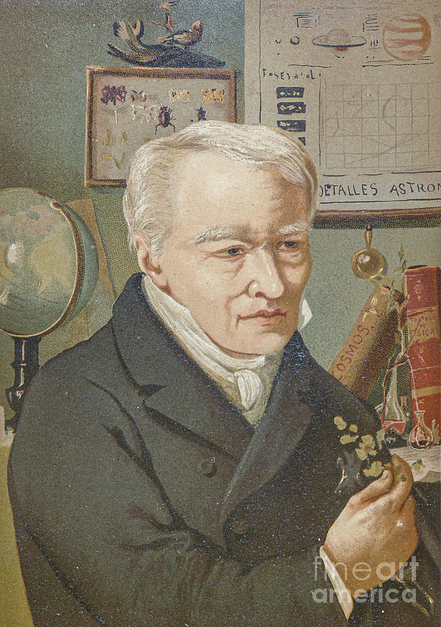Portrait Pyrography - Alexander von Humboldt x1 by Historic illustrations