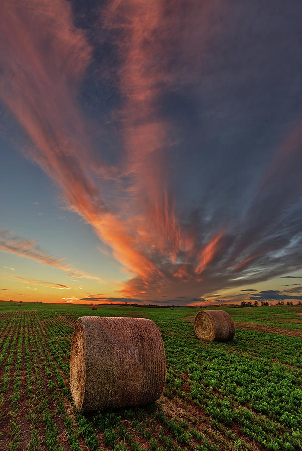 Alfalfa Bale at ND sunset Photograph by Peter Herman
