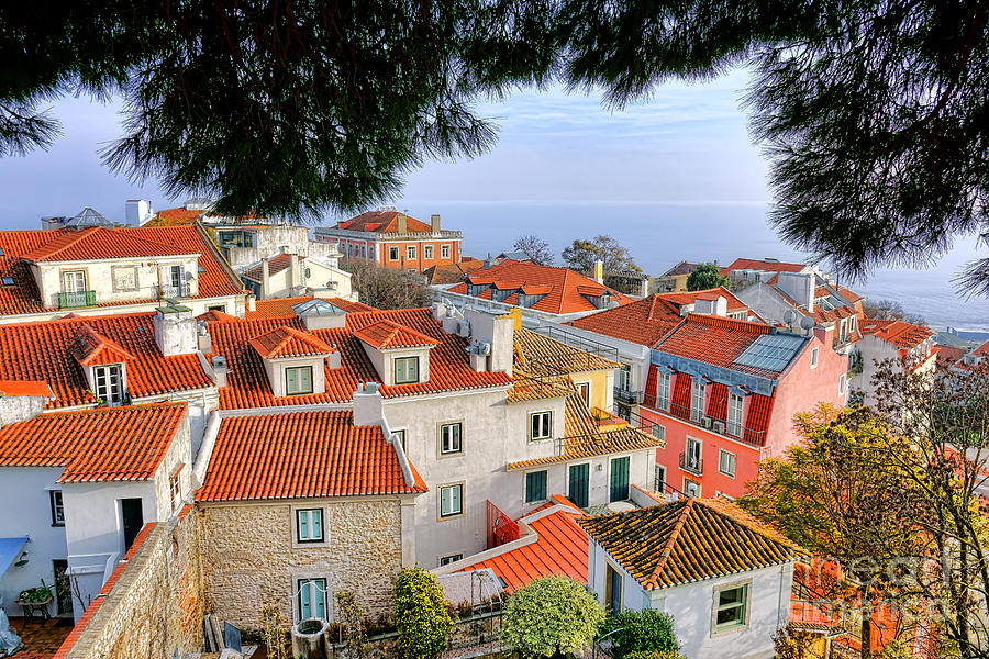 Alfama Rooftops Photograph by Olivier Le Queinec - Pixels