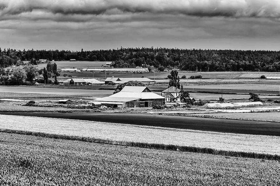Alfalfa farm Photograph by Charles McCleanon