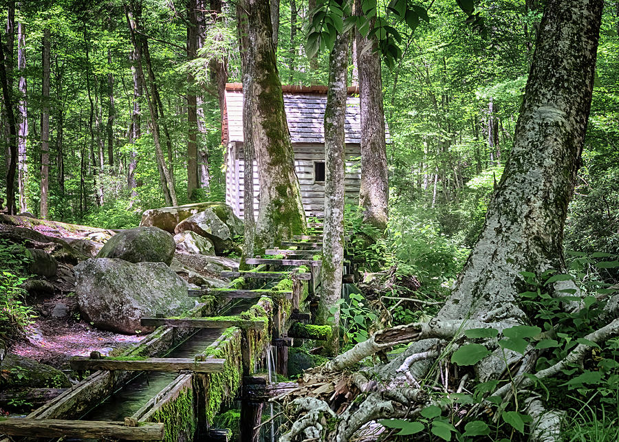 Alfred Reagans Tub Mill - Smoky Mountains Photograph by Susan Rissi Tregoning