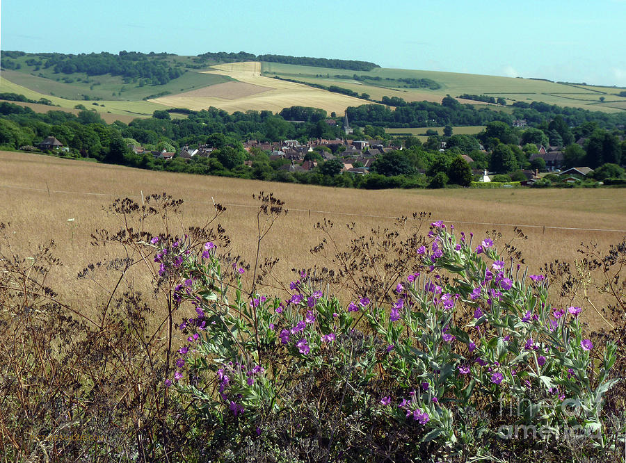 Alfriston from the South Downs Photograph by Phil Banks