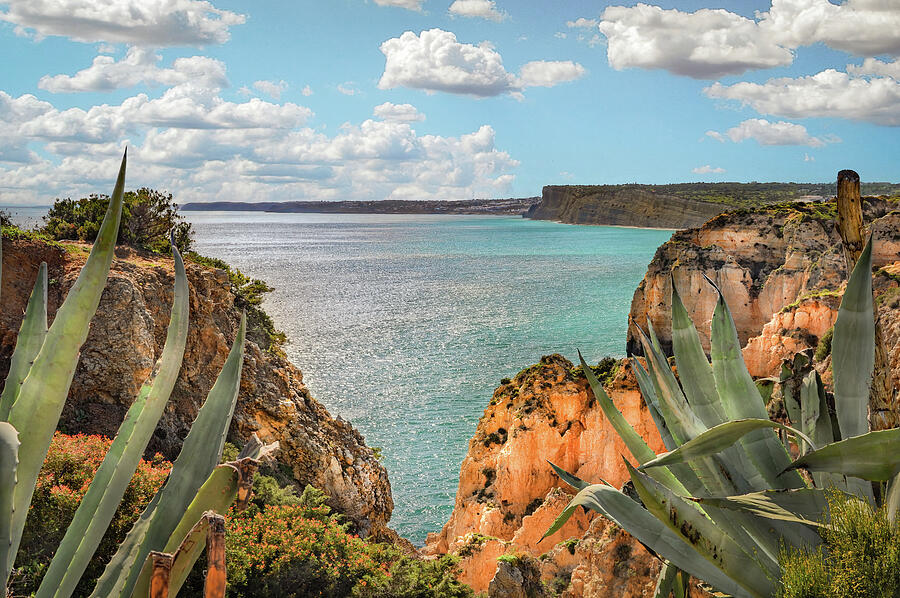 Algarve Portugal Cliffs Over the Atlantic Ocean Photograph by Rebecca Herranen