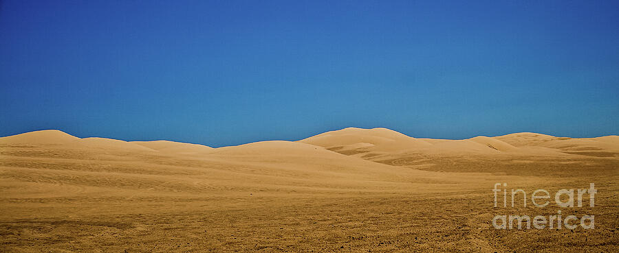 Arizona Photograph - Algodones Dunes by Robert Bales