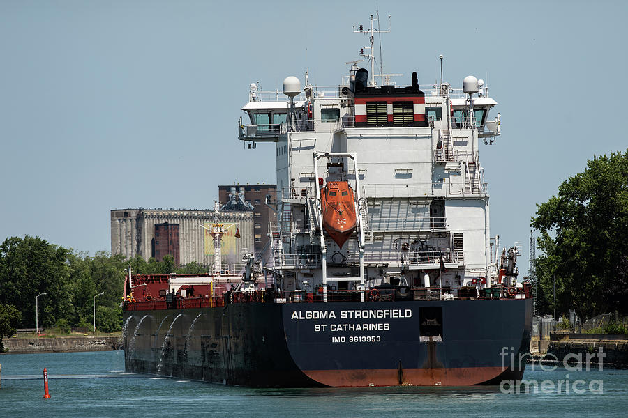 Algoma Strongfield Photograph by JT Lewis