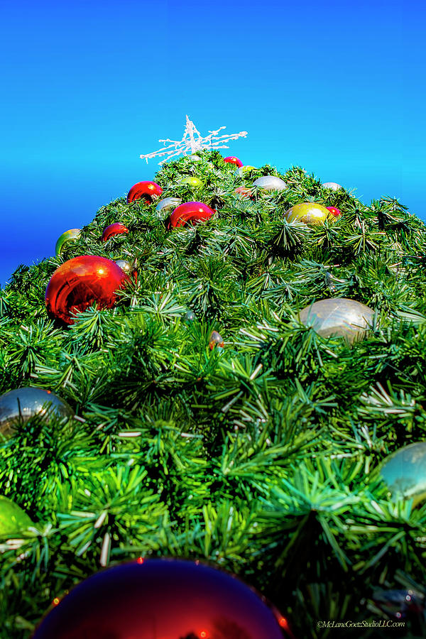 Algonac Christmas Tree Photograph by LeeAnn McLaneGoetz McLaneGoetzStudioLLCcom