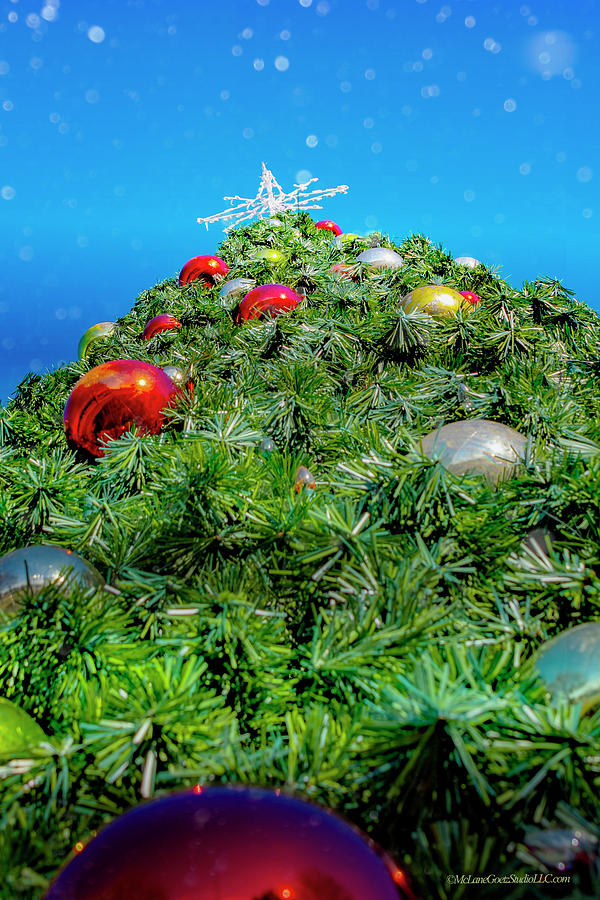 Algonac Christmas Tree Snow Photograph