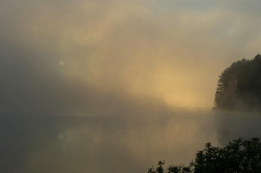Algonquin Morning Photograph by CR Courson