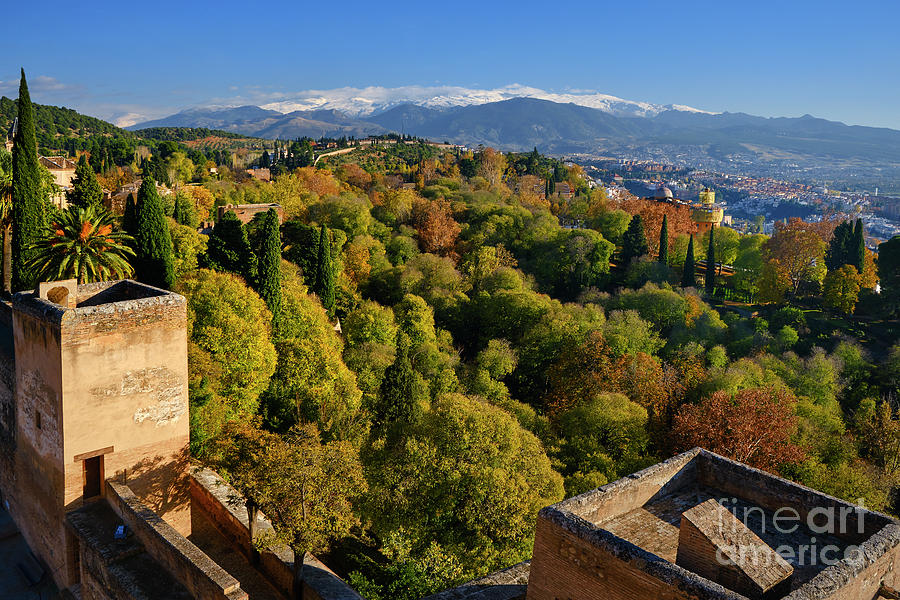 Alhambra forest and Sierra Nevada from Alcazaba. Alhambra Palace ...