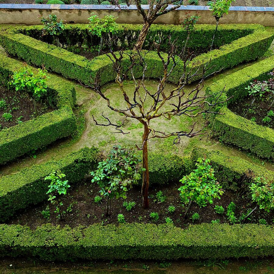 Alhambra Garden Photograph by Cristal Otero - Fine Art America