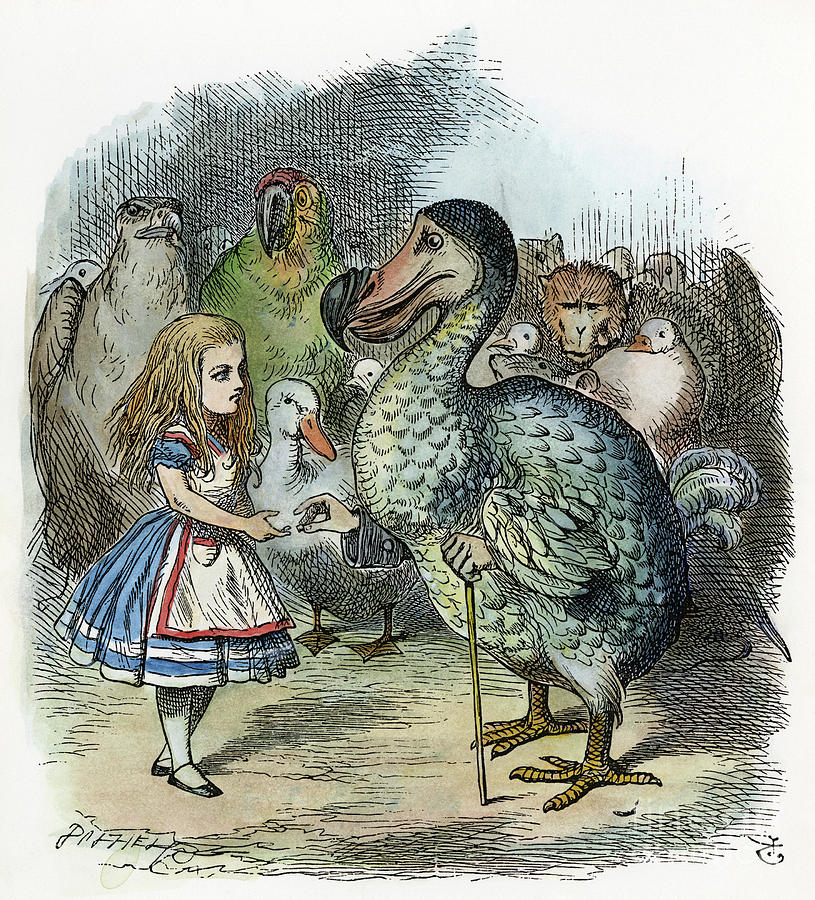 Alices Adventures in Wonderland, 1865 Photograph by Granger