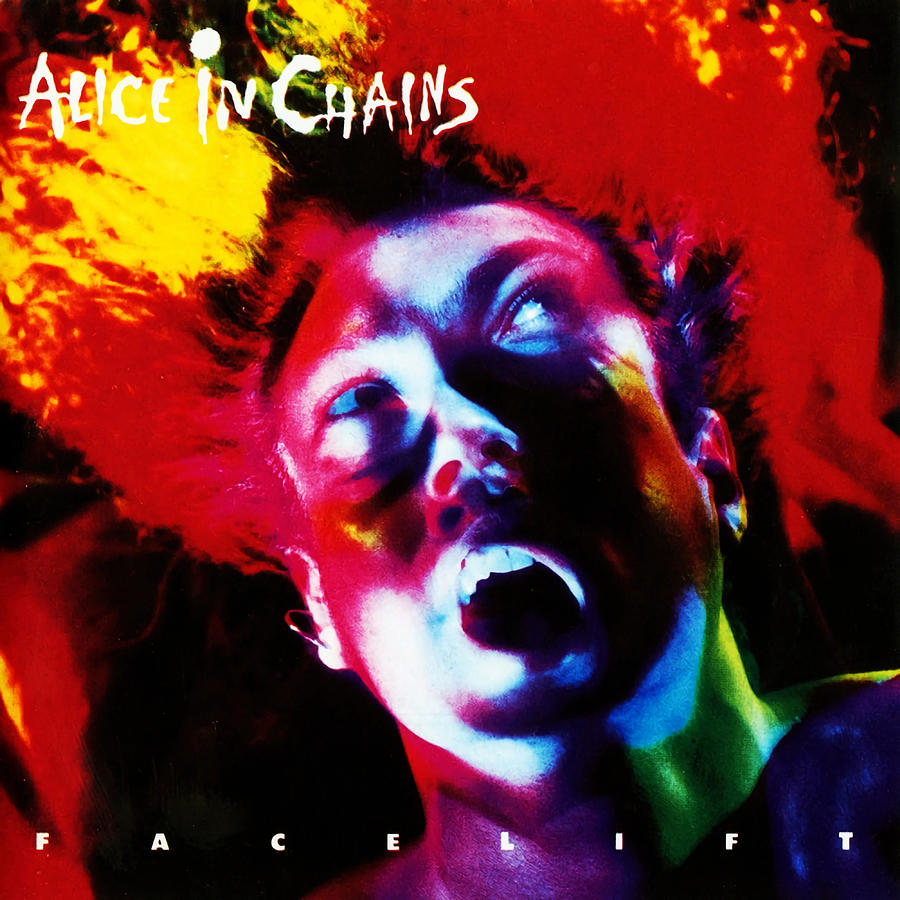 alice and chains facelift zip